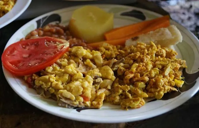 Pogas Hotel Limited Kingston Bed and breakfast
